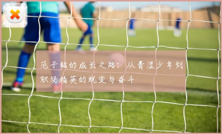 范子铭的成长之路：从青涩少年到职场精英的蜕变与奋斗