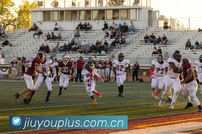 App Interface Preview