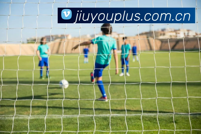 九游体育APP 封面图